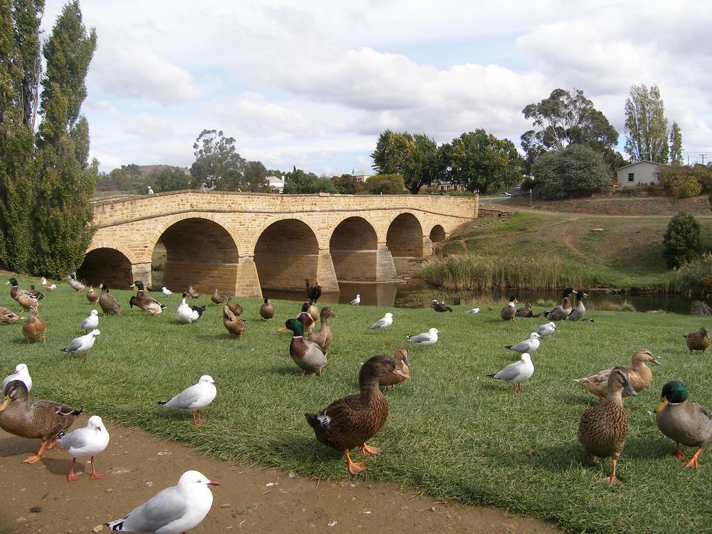 Bridge Cottages Sargeants & Armoury Cottages 1823 - History & Charm Richmond Bagian luar foto